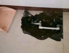 山阴卫生间测漏水多少钱